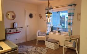 Große Wohnung mit Terrasse und Grill